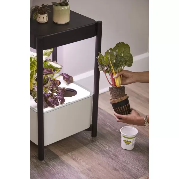 Miracle-Gro Twelve Indoor Growing System, Side Table with LED Grow Light for Year Round Gardening, Planter For Leafy Greens, Herbs &amp; Flowers)