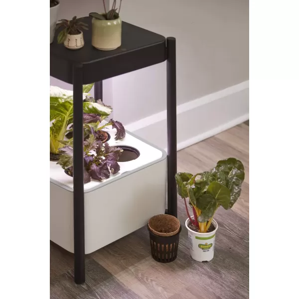 Miracle-Gro Twelve Indoor Growing System, Side Table with LED Grow Light for Year Round Gardening, Planter For Leafy Greens, Herbs &amp; Flowers)