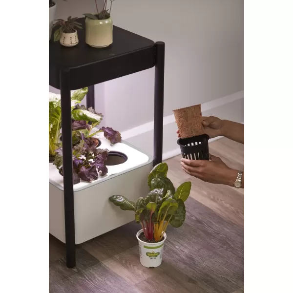 Miracle-Gro Twelve Indoor Growing System, Side Table with LED Grow Light for Year Round Gardening, Planter For Leafy Greens, Herbs &amp; Flowers)