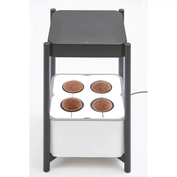 Miracle-Gro Twelve Indoor Growing System, Side Table with LED Grow Light for Year Round Gardening, Planter For Leafy Greens, Herbs &amp; Flowers)