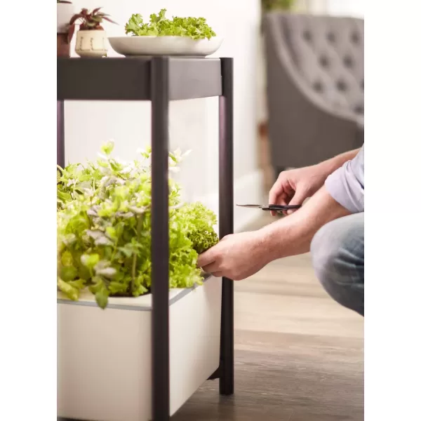 Miracle-Gro Twelve Indoor Growing System, Side Table with LED Grow Light for Year Round Gardening, Planter For Leafy Greens, Herbs &amp; Flowers