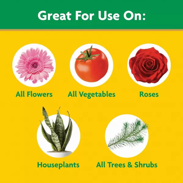 Miracle-Gro Water Soluble All Purpose Plant Food, Fertilizer for Indoor or Outdoor Flowers, Vegetables or Trees, 10 lbs.