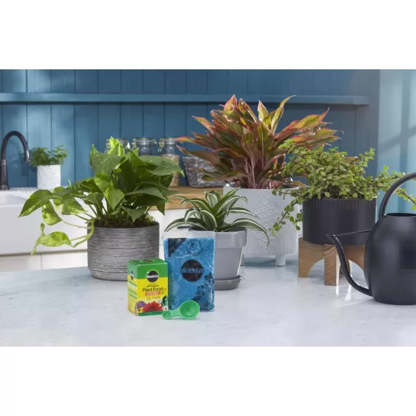 Miracle-Gro Water Soluble All Purpose Plant Food, Fertilizer for Indoor or Outdoor Flowers, Vegetables or Trees, 10 lbs.