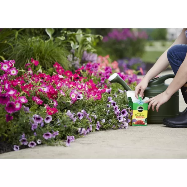 Miracle-Gro Water Soluble All Purpose Plant Food, Fertilizer for Indoor or Outdoor Flowers, Vegetables or Trees, 10 lbs.