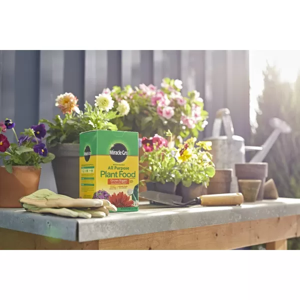 Miracle-Gro Water Soluble All Purpose Plant Food, Fertilizer for Indoor or Outdoor Flowers, Vegetables or Trees, 10 lbs.