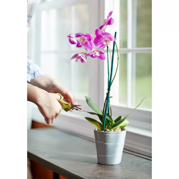 Miracle-Gro Water Soluble Orchid Food, Plant Fertilizer, 8 oz.