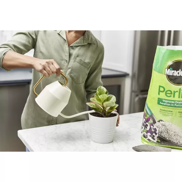 Scotts Perlite, 8 qt.