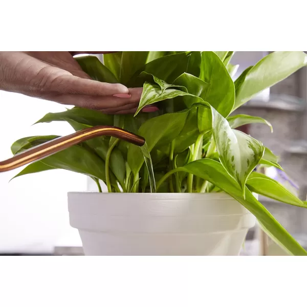 Miracle-Gro Indoor Plant Food , 8 oz., Instantly Feeds All Indoor Houseplants Including Edibles, 2-Pack