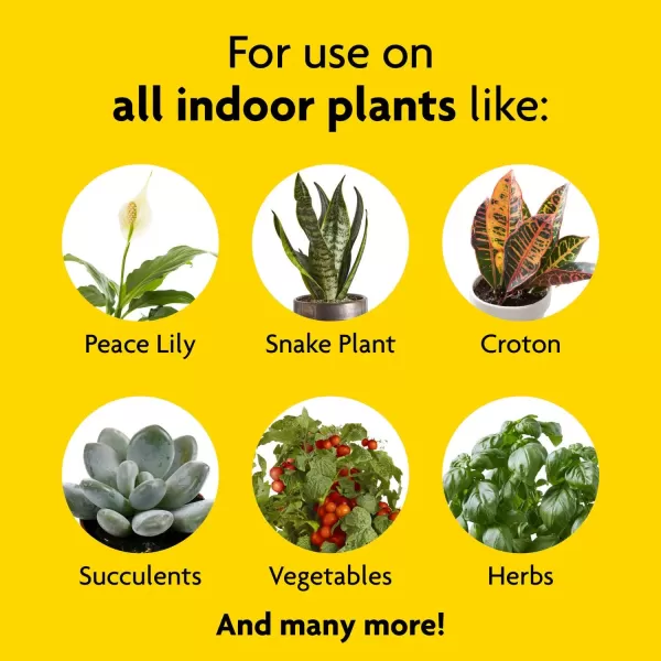Miracle-Gro Indoor Plant Food , 8 oz., Instantly Feeds All Indoor Houseplants Including Edibles, 2-Pack