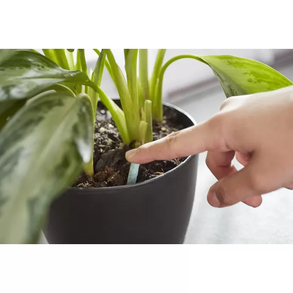 Miracle-Gro Indoor Plant Food Spikes, Includes 48 Spikes - Continuous Feeding for all Flowering and Foliage Houseplants - NPK 6-12-6, Pack of 1