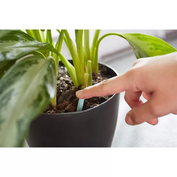 Miracle-Gro Indoor Plant Food Spikes, Includes 48 Spikes - Continuous Feeding for all Flowering and Foliage Houseplants - NPK 6-12-6, Pack of 1
