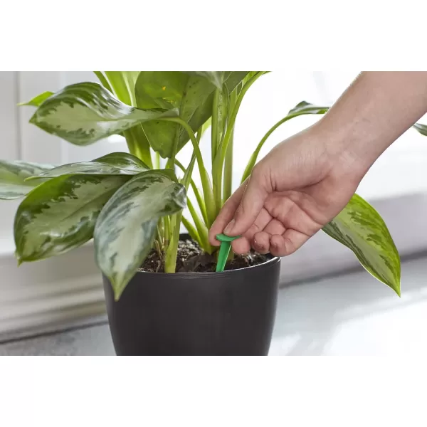 Miracle-Gro Indoor Plant Food Spikes, Includes 48 Spikes - Continuous Feeding for all Flowering and Foliage Houseplants - NPK 6-12-6, Pack of 1