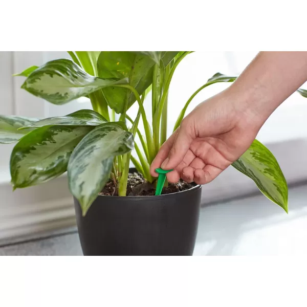 Miracle-Gro Indoor Plant Food Spikes, Includes 48 Spikes - Continuous Feeding for all Flowering and Foliage Houseplants - NPK 6-12-6, Pack of 1