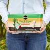 imageMiracleGro Fruit ampamp Citrus Plant Food SpikesFruit  Citrus