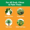 imageMiracleGro Fruit ampamp Citrus Plant Food SpikesFruit  Citrus
