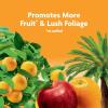 imageMiracleGro Fruit ampamp Citrus Plant Food SpikesFruit  Citrus