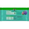 imageMiracleGro Fruit ampamp Citrus Plant Food SpikesTree  Shrub 2Pack