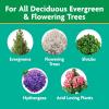 imageMiracleGro Fruit ampamp Citrus Plant Food SpikesTree  Shrub