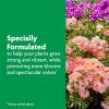 imageMiracleGro Shake N Feed Rose ampamp Bloom Plant Food1 lb