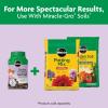 imageMiracleGro Shake N Feed Rose ampamp Bloom Plant Food1 lb