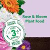 imageMiracleGro Shake N Feed Rose ampamp Bloom Plant Food1 lb