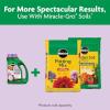 imageMiracleGro Shake N Feed Rose ampamp Bloom Plant Food45 lb
