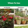 imageMiracleGro Shake N Feed Rose ampamp Bloom Plant Food45 lb