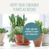 imageMiracleGro Succulent Potting Mix For Indoor Succulents Aloe Vera and More Made with MiracleGro Plant Food 4 qt1 Pack