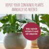 imageMiracleGro Succulent Potting Mix For Indoor Succulents Aloe Vera and More Made with MiracleGro Plant Food 4 qt1 Pack