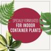 imageMiracleGro Succulent Potting Mix For Indoor Succulents Aloe Vera and More Made with MiracleGro Plant Food 4 qt1 Pack