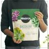 imageMiracleGro Succulent Potting Mix For Indoor Succulents Aloe Vera and More Made with MiracleGro Plant Food 4 qt1 Pack