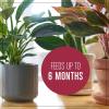 imageMiracleGro Succulent Potting Mix For Indoor Succulents Aloe Vera and More Made with MiracleGro Plant Food 4 qt1 Pack