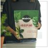 imageMiracleGro Succulent Potting Mix For Indoor Succulents Aloe Vera and More Made with MiracleGro Plant Food 4 qt1 Pack