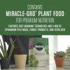 imageMiracleGro Succulent Potting Mix For Indoor Succulents Aloe Vera and More Made with MiracleGro Plant Food 4 qt1 Pack