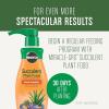 imageMiracleGro Succulent Potting Mix For Indoor Succulents Aloe Vera and More Made with MiracleGro Plant Food 4 qt1 Pack
