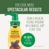 imageMiracleGro Succulent Potting Mix For Indoor Succulents Aloe Vera and More Made with MiracleGro Plant Food 4 qt1 Pack