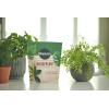 imageMiracleGro Succulent Potting Mix For Indoor Succulents Aloe Vera and More Made with MiracleGro Plant Food 4 qt2 Pack