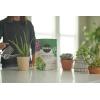 imageMiracleGro Succulent Potting Mix For Indoor Succulents Aloe Vera and More Made with MiracleGro Plant Food 4 qt2 Pack