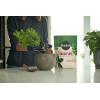 imageMiracleGro Succulent Potting Mix For Indoor Succulents Aloe Vera and More Made with MiracleGro Plant Food 4 qt2 Pack