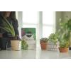 imageMiracleGro Succulent Potting Mix For Indoor Succulents Aloe Vera and More Made with MiracleGro Plant Food 4 qt2 Pack