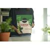 imageMiracleGro Succulent Potting Mix For Indoor Succulents Aloe Vera and More Made with MiracleGro Plant Food 4 qt2 Pack