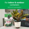 imageMiracleGro Tropical Potting Mix 6 qt  Growing Media for Tropical Plants Living in Indoor and Outdoor Containers1 Pack