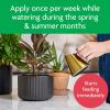 imageMiracleGro Tropical Potting Mix 6 qt  Growing Media for Tropical Plants Living in Indoor and Outdoor Containers1 Pack