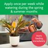 imageMiracleGro Tropical Potting Mix 6 qt  Growing Media for Tropical Plants Living in Indoor and Outdoor Containers2 Pack