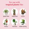 imageMiracleGro Tropical Potting Mix 6 qt  Growing Media for Tropical Plants Living in Indoor and Outdoor Containers2 Pack