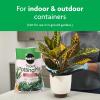 imageMiracleGro Tropical Potting Mix 6 qt  Growing Media for Tropical Plants Living in Indoor and Outdoor Containers3 Pack