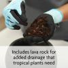 imageMiracleGro Tropical Potting Mix 6 qt  Growing Media for Tropical Plants Living in Indoor and Outdoor Containers3 Pack