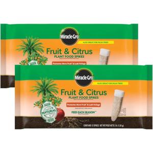imageMiracleGro Fruit ampamp Citrus Plant Food SpikesFruit  Citrus 2Pack
