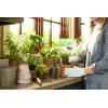imageMiracleGro Indoor Potting Mix Blended for a Variety of Houseplants Feeds for up to 6 Months 6 qt 2Pack6 qt 2 Pack
