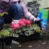imageMiracleGro Moisture Control Potting Mix 8 qt Protects Against Over and Under Watering Container Plants 2Pack6 qt